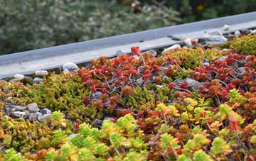the cost of Middlecliffe green roof installation